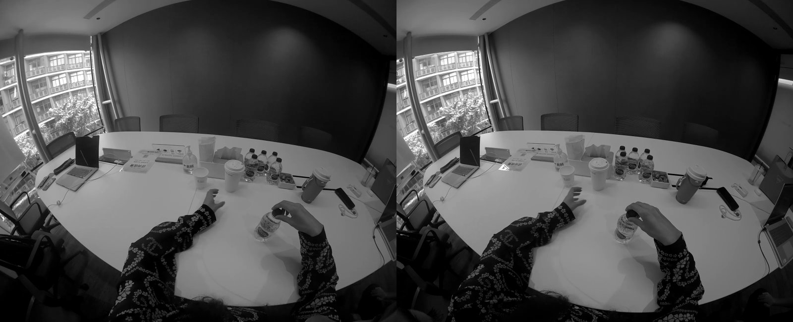 Stereo pair